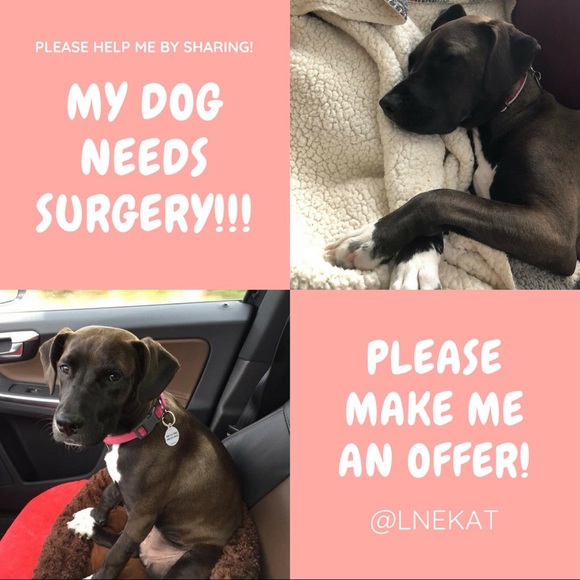 Please Share Closet 🙏 Posher needs help ❤️ - Picture 2 of 11